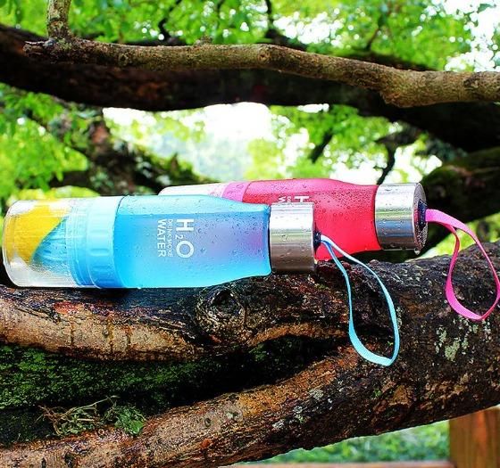 Portable Lemon Juice Bottle 650ml